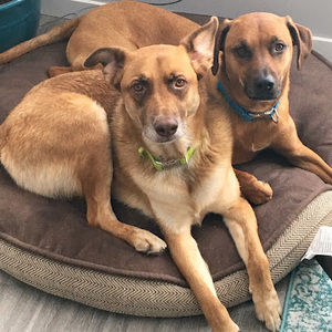 Meet your Posher, Carrie